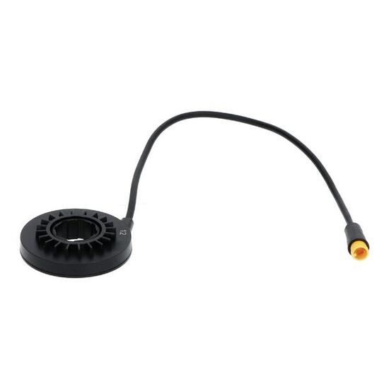 Capteur de cadence Motinova 250 mm