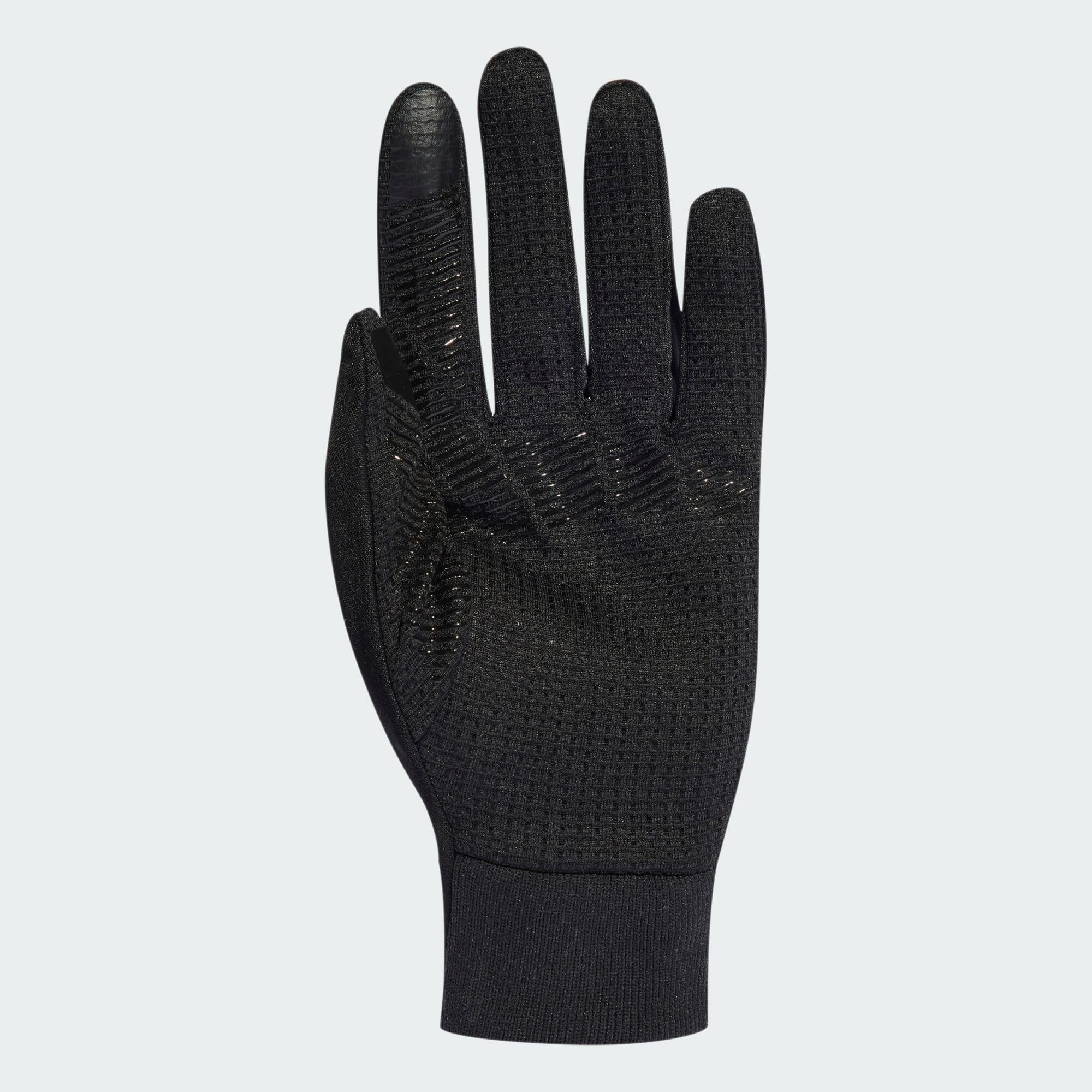 Guanti Terrex COLD.RDY 3/6