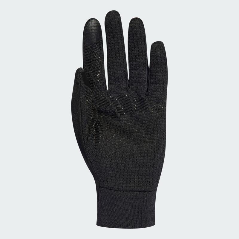Mănuși Terrex COLD.RDY