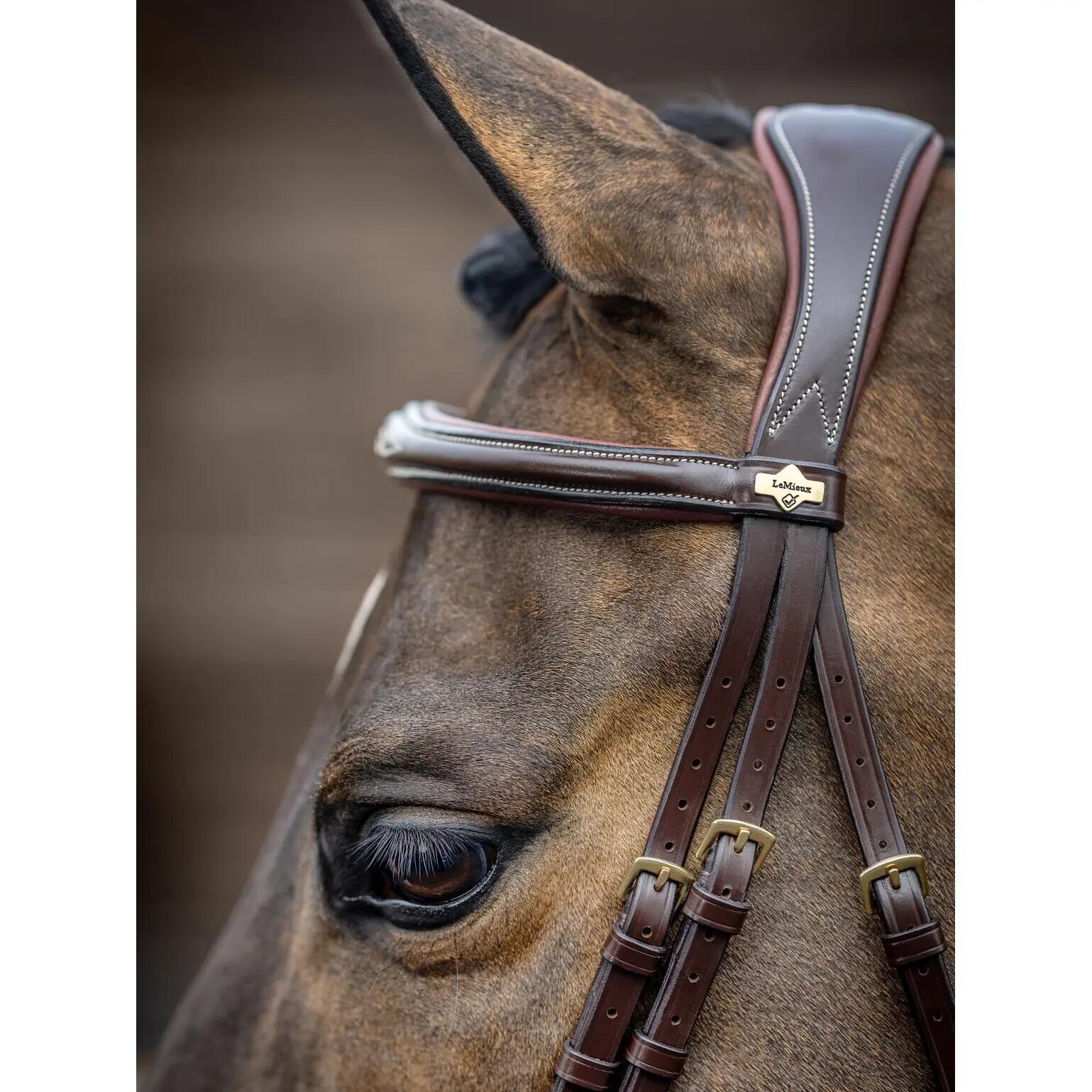 Hoofdstel voor paarden LeMieux Competition Flash Havana 3/3