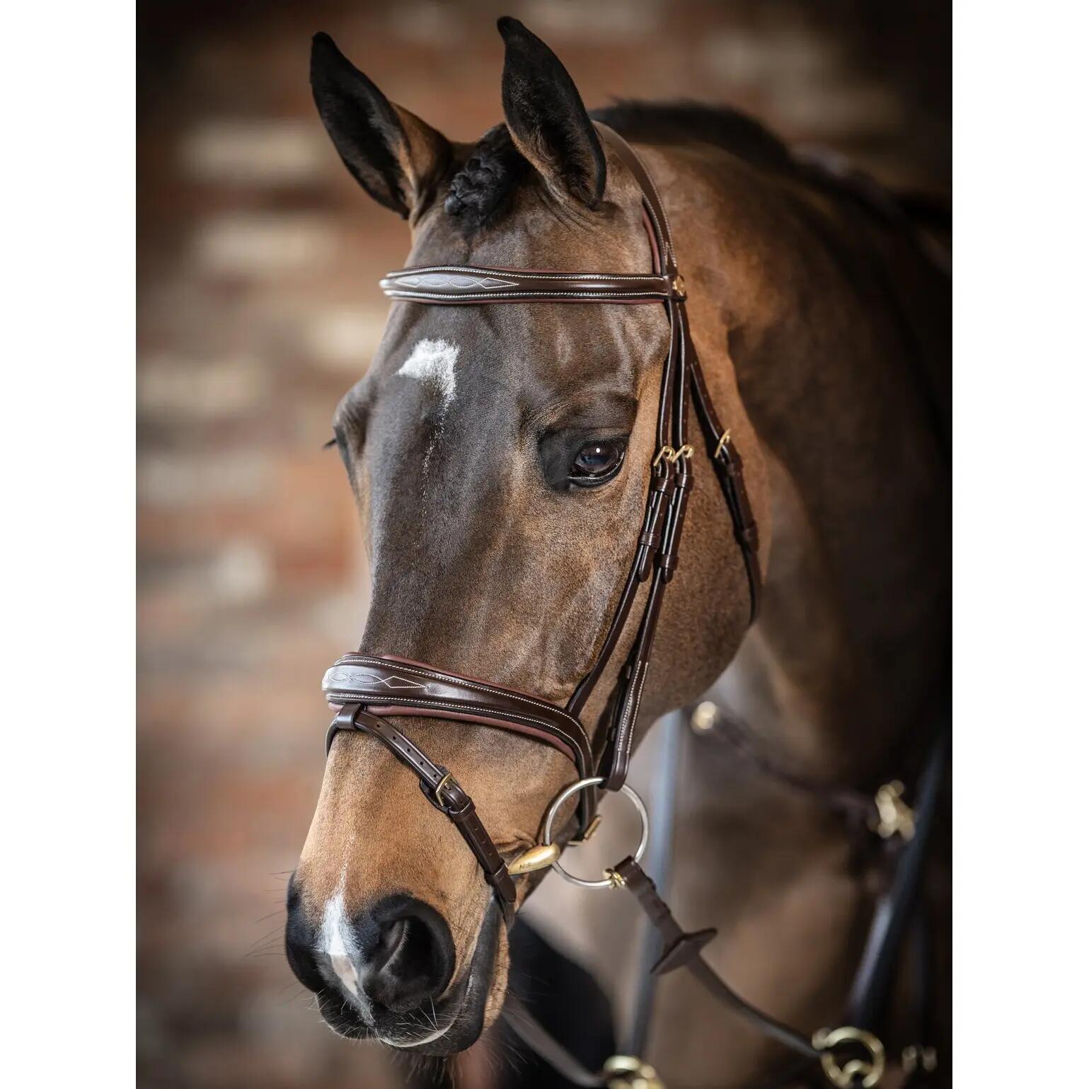 Hoofdstel voor paarden LeMieux Competition Flash Havana 2/3