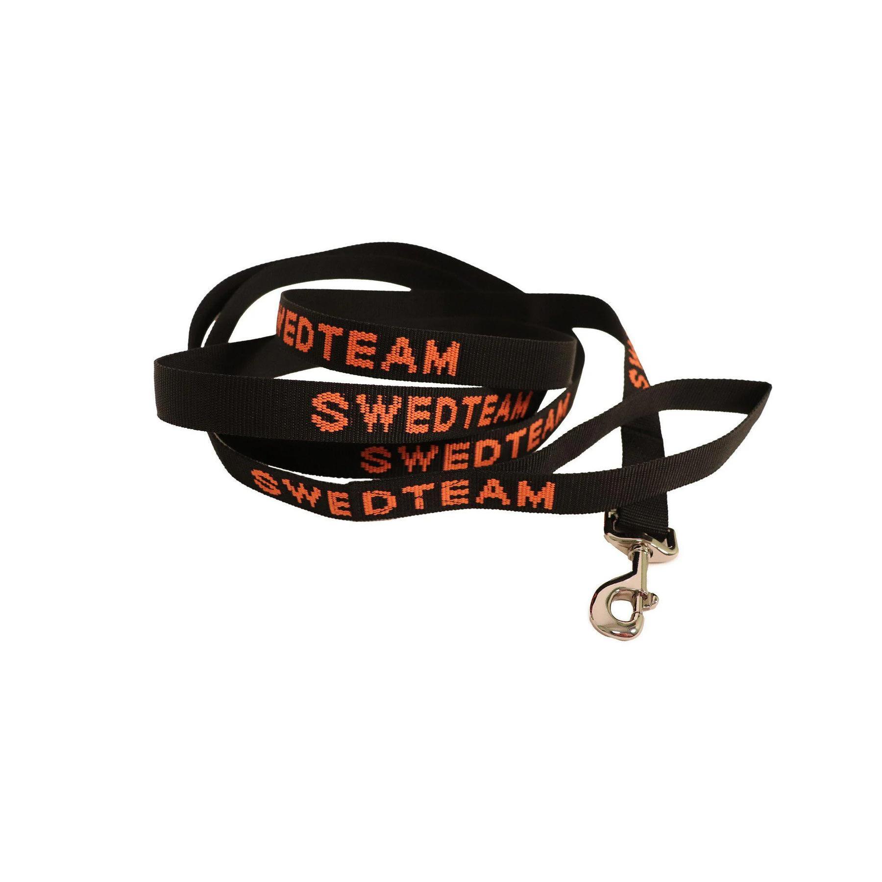 SWEDTEAM picture
