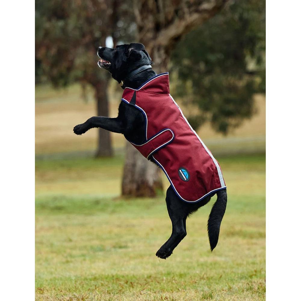 Abrigo para perro Weatherbeeta Comfitec Premier Deluxe 3/5