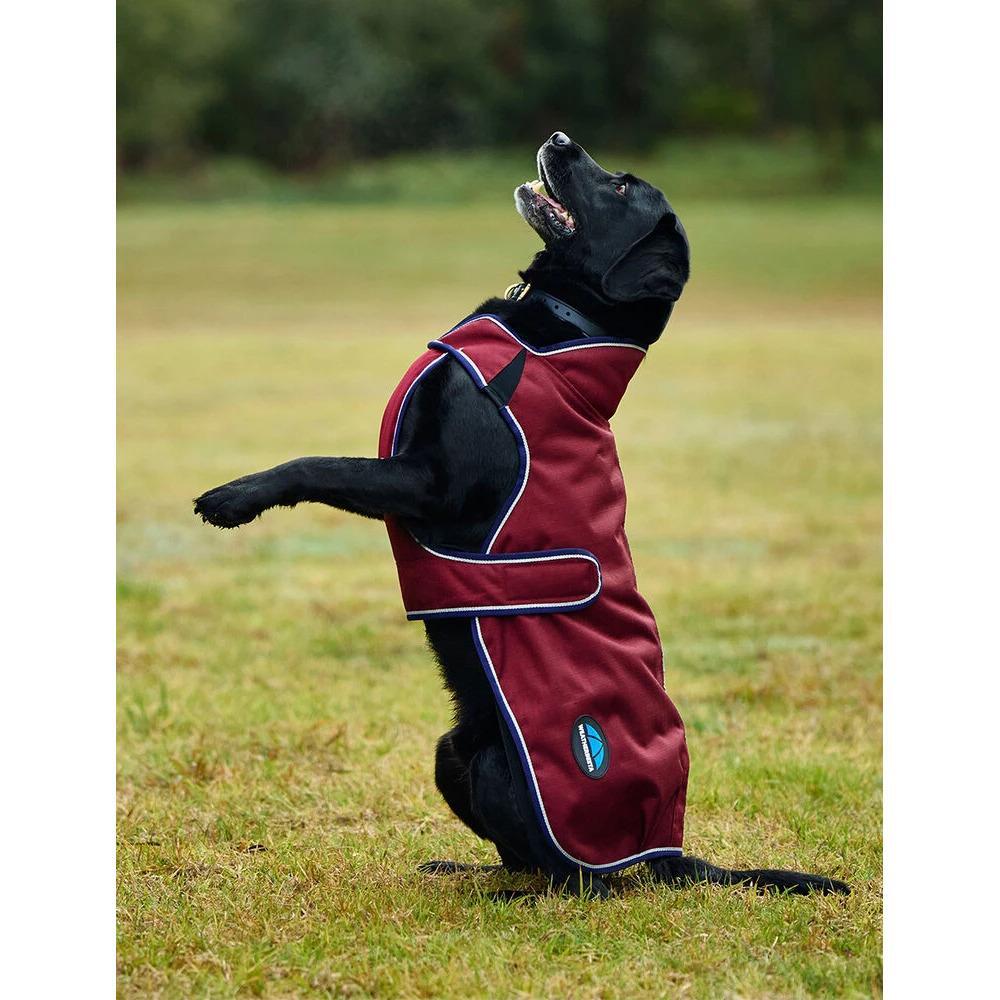 Abrigo para perro Weatherbeeta Comfitec Premier Deluxe 2/5