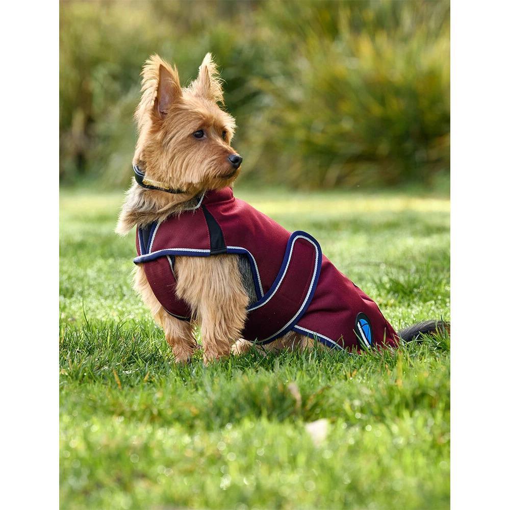 Abrigo para perro Weatherbeeta Comfitec Premier Deluxe 5/5