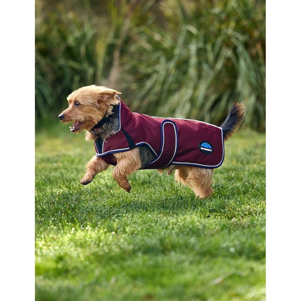 Abrigo para perro Weatherbeeta Comfitec Premier Deluxe 4/5