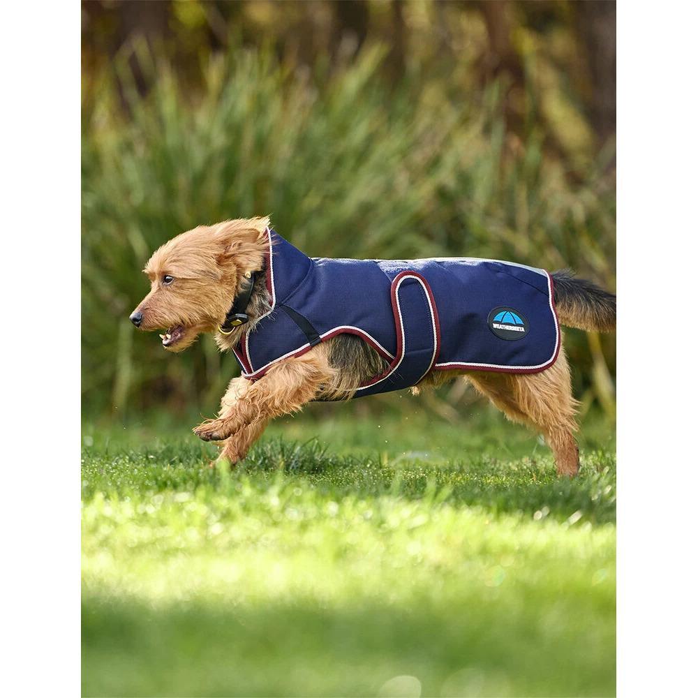 Dog coat Weatherbeeta Comfitec Premier Deluxe 3/5