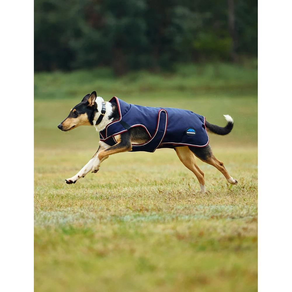Dog coat Weatherbeeta Comfitec Premier Deluxe 2/5