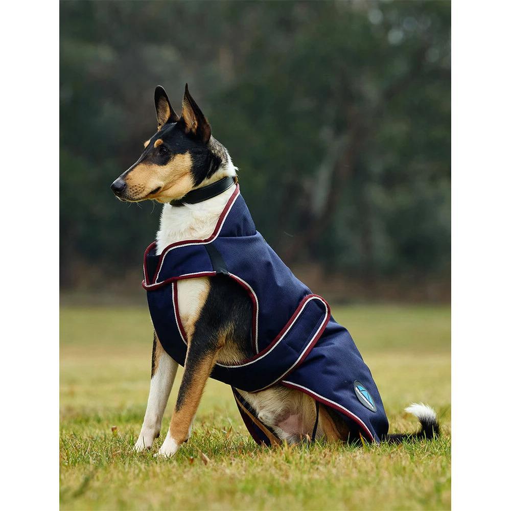 Dog coat Weatherbeeta Comfitec Premier Deluxe 4/5