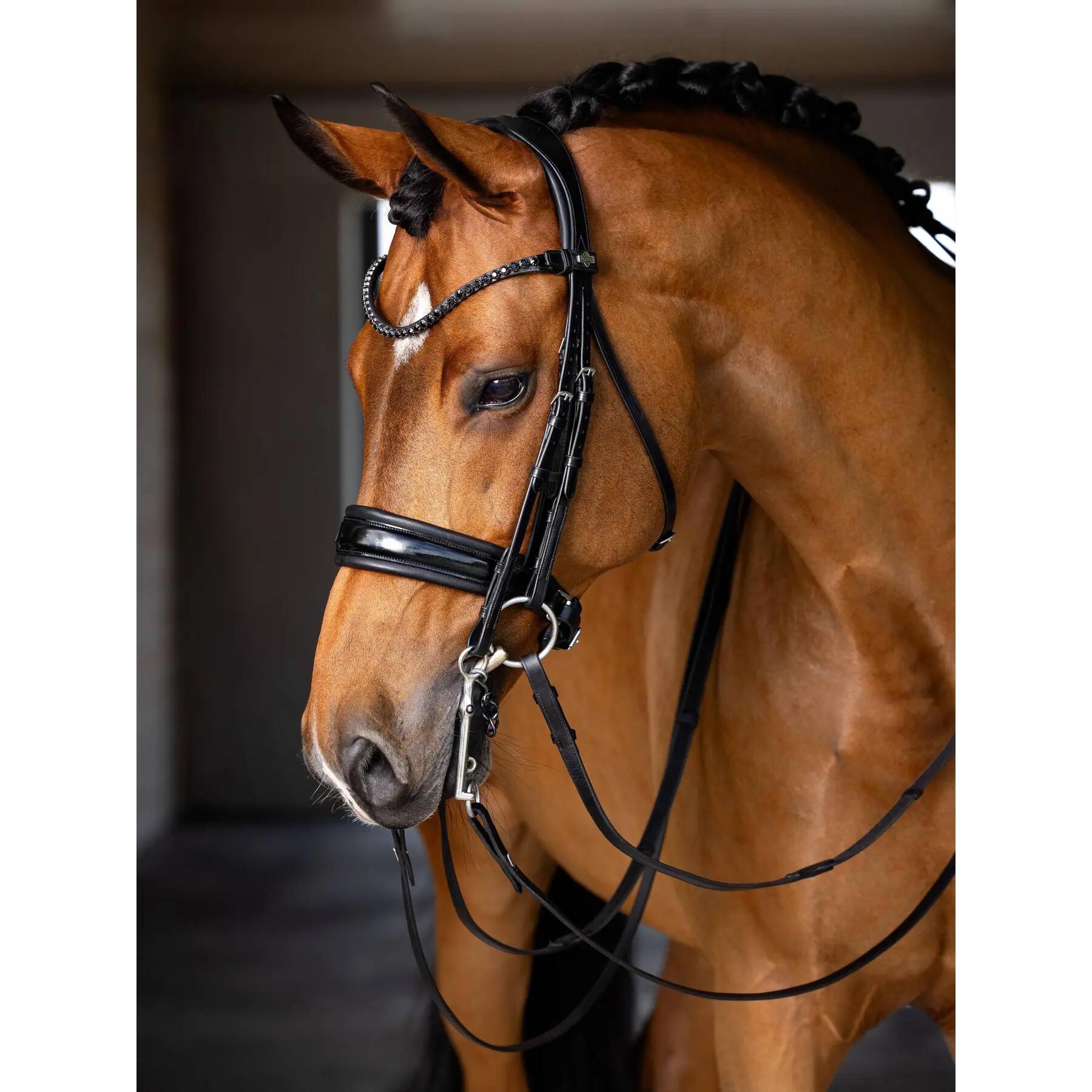 Bridons équitation double LeMieux Kudos 3/5