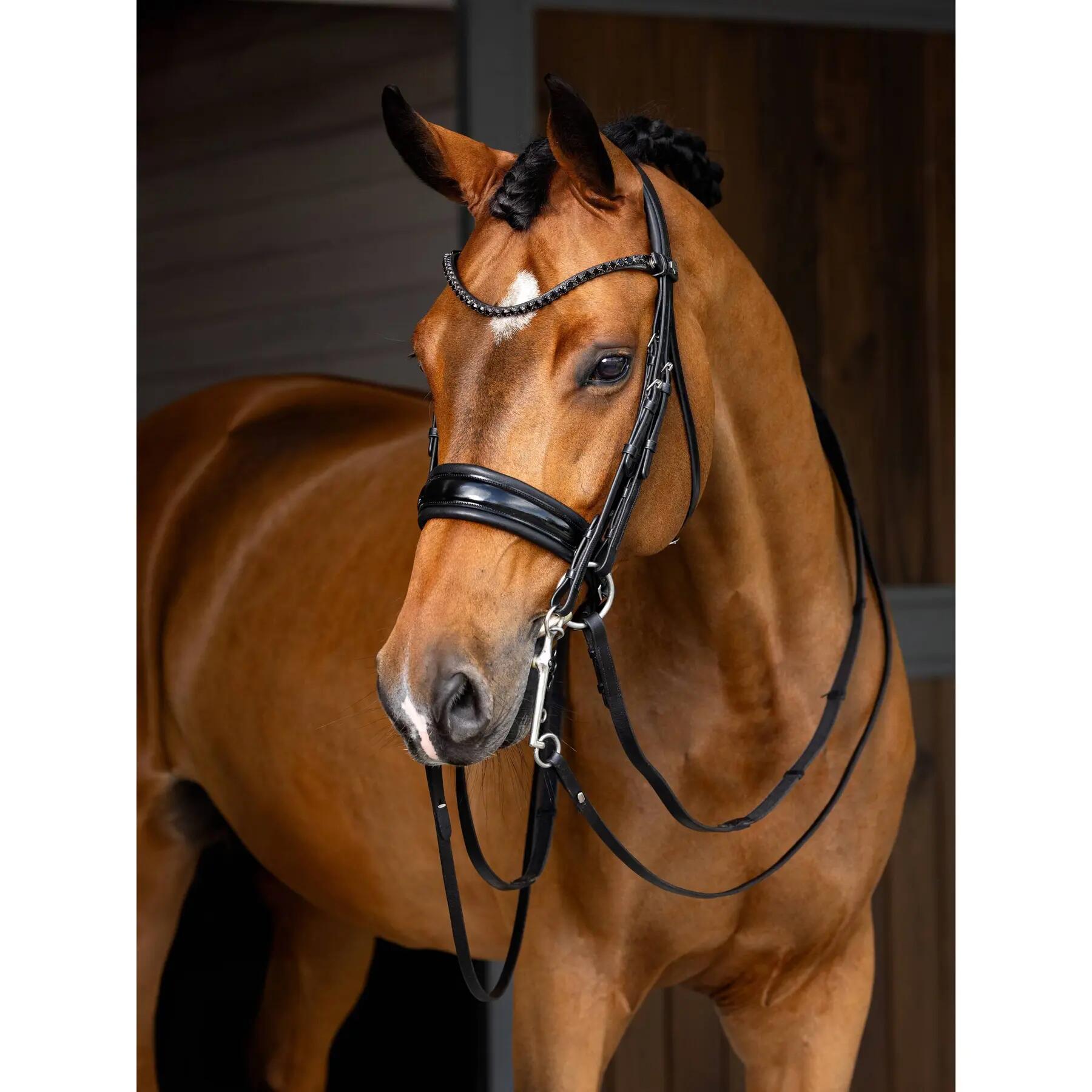 Bridons équitation double LeMieux Kudos 2/5
