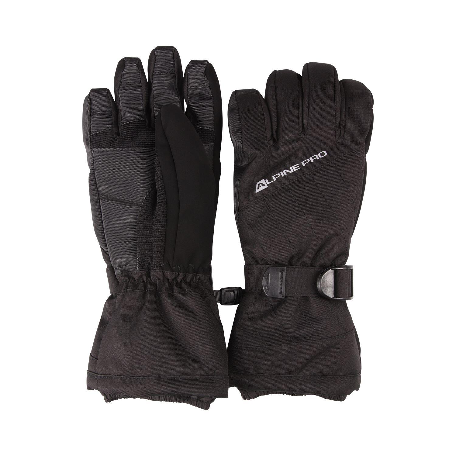 ALPINE PRO picture