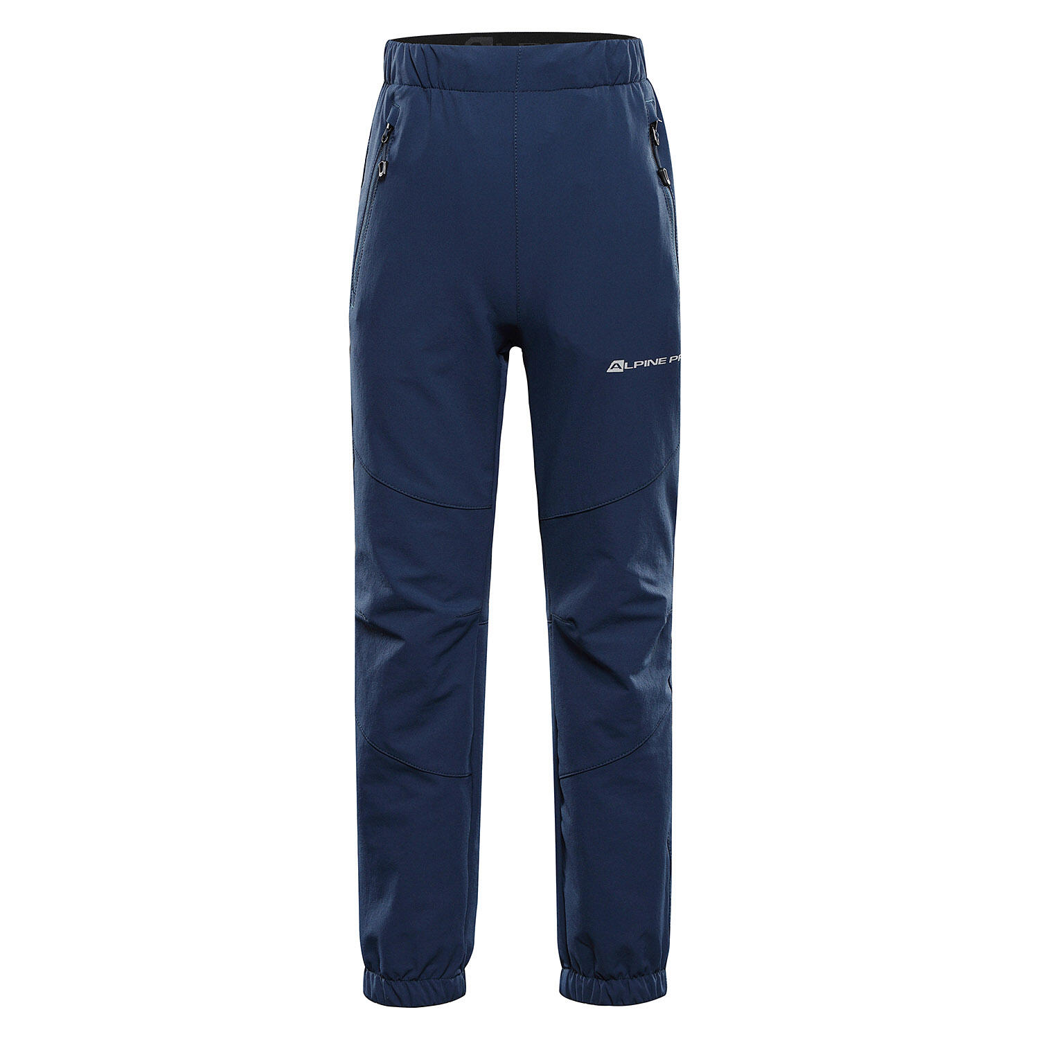 ALPINE PRO picture
