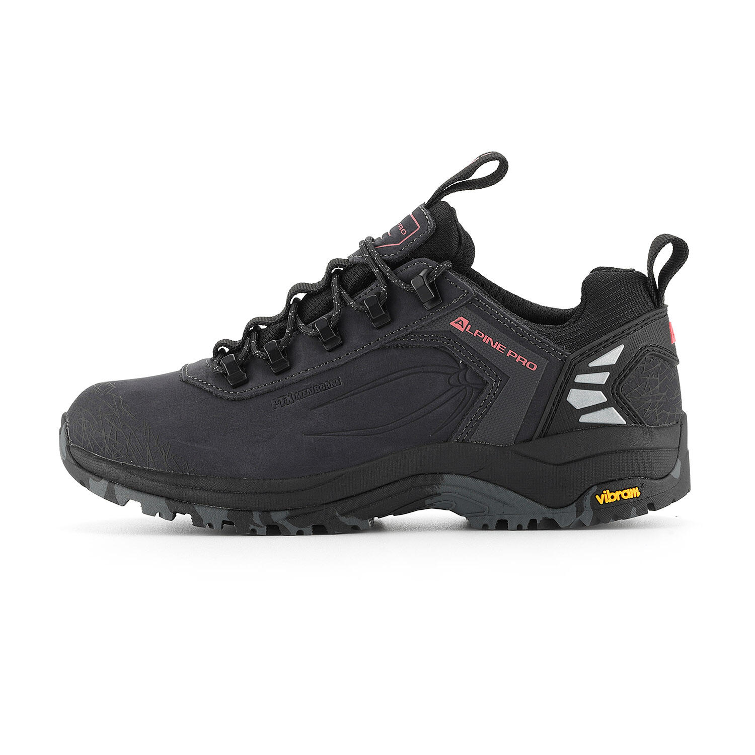 ALPINE PRO picture