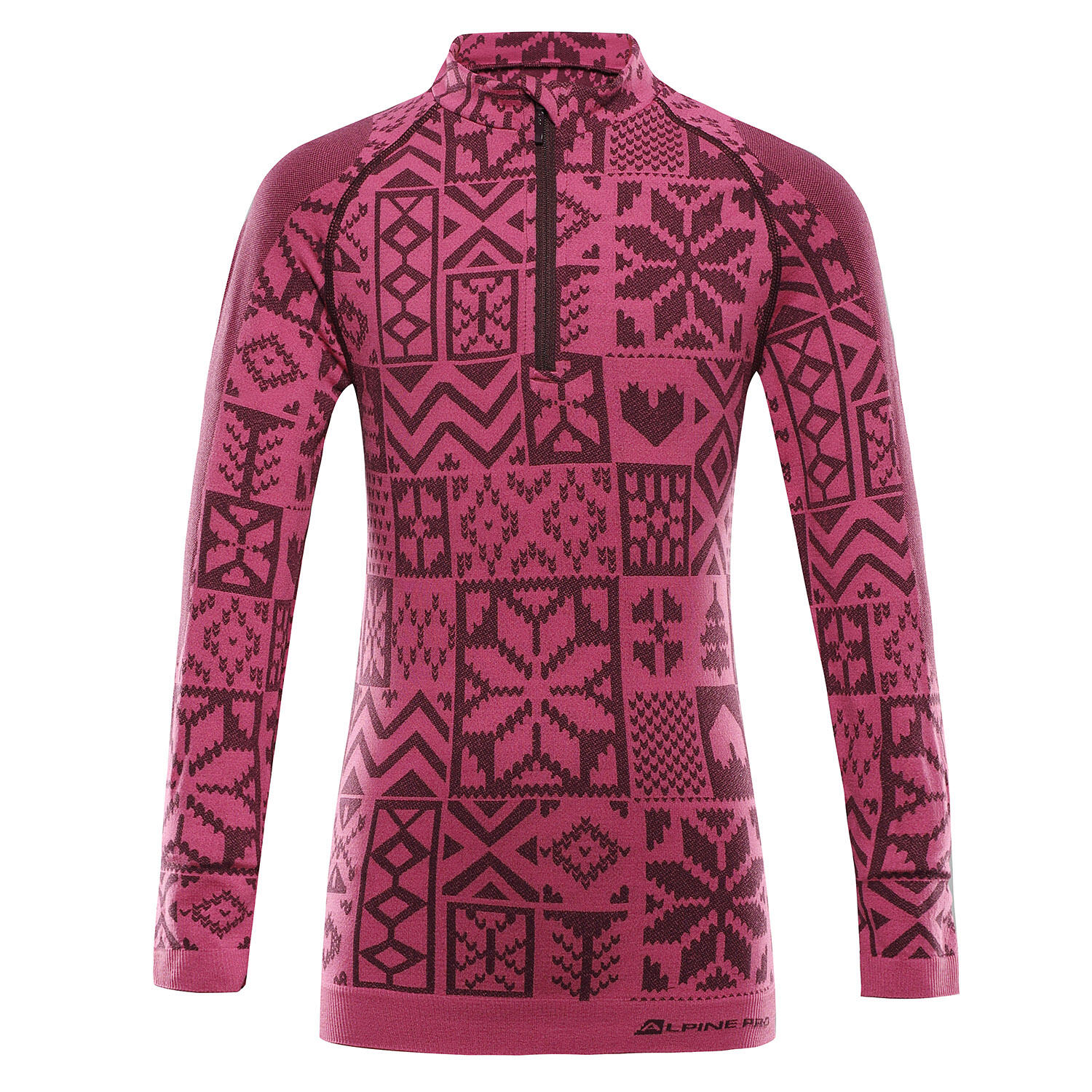 ALPINE PRO picture