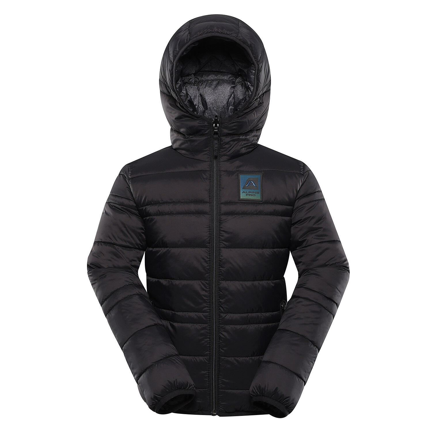 ALPINE PRO picture