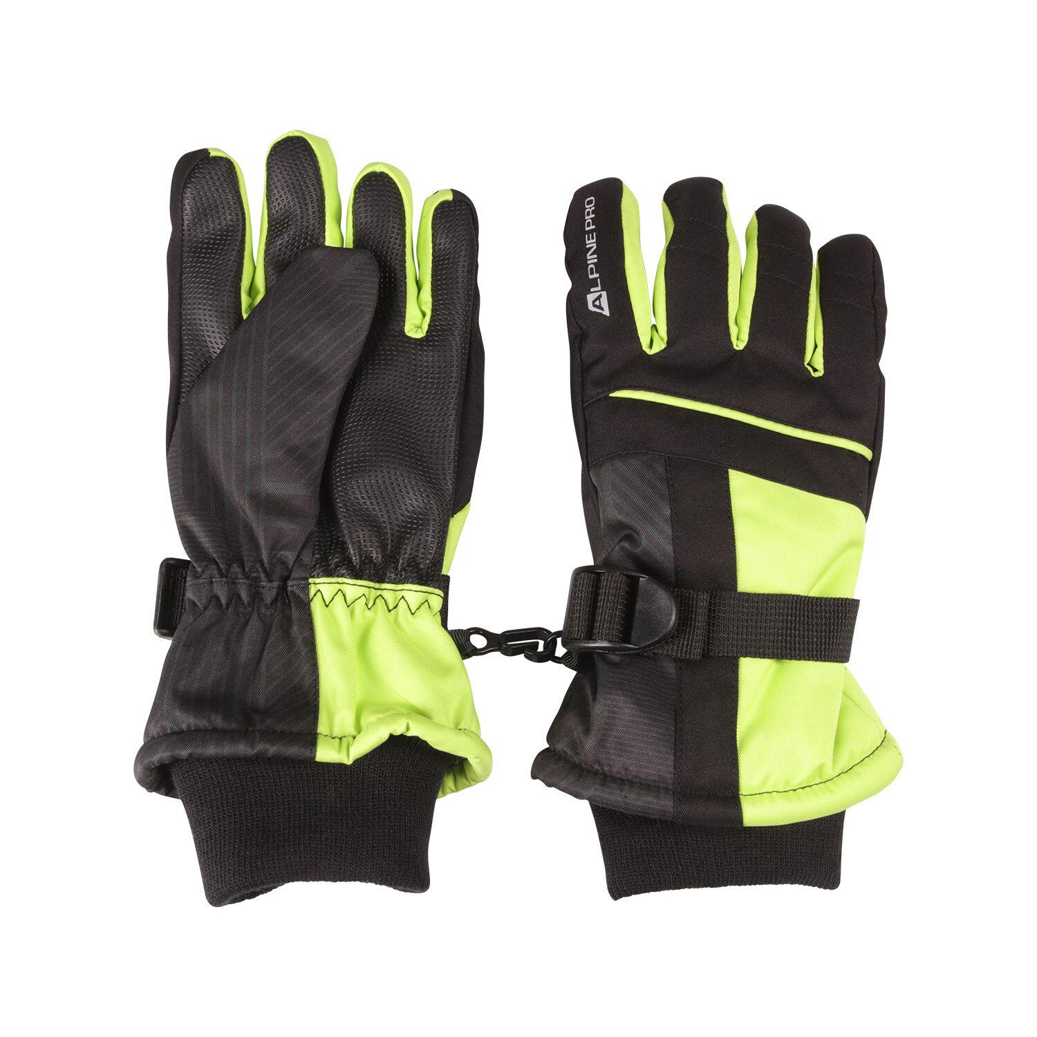 ALPINE PRO picture
