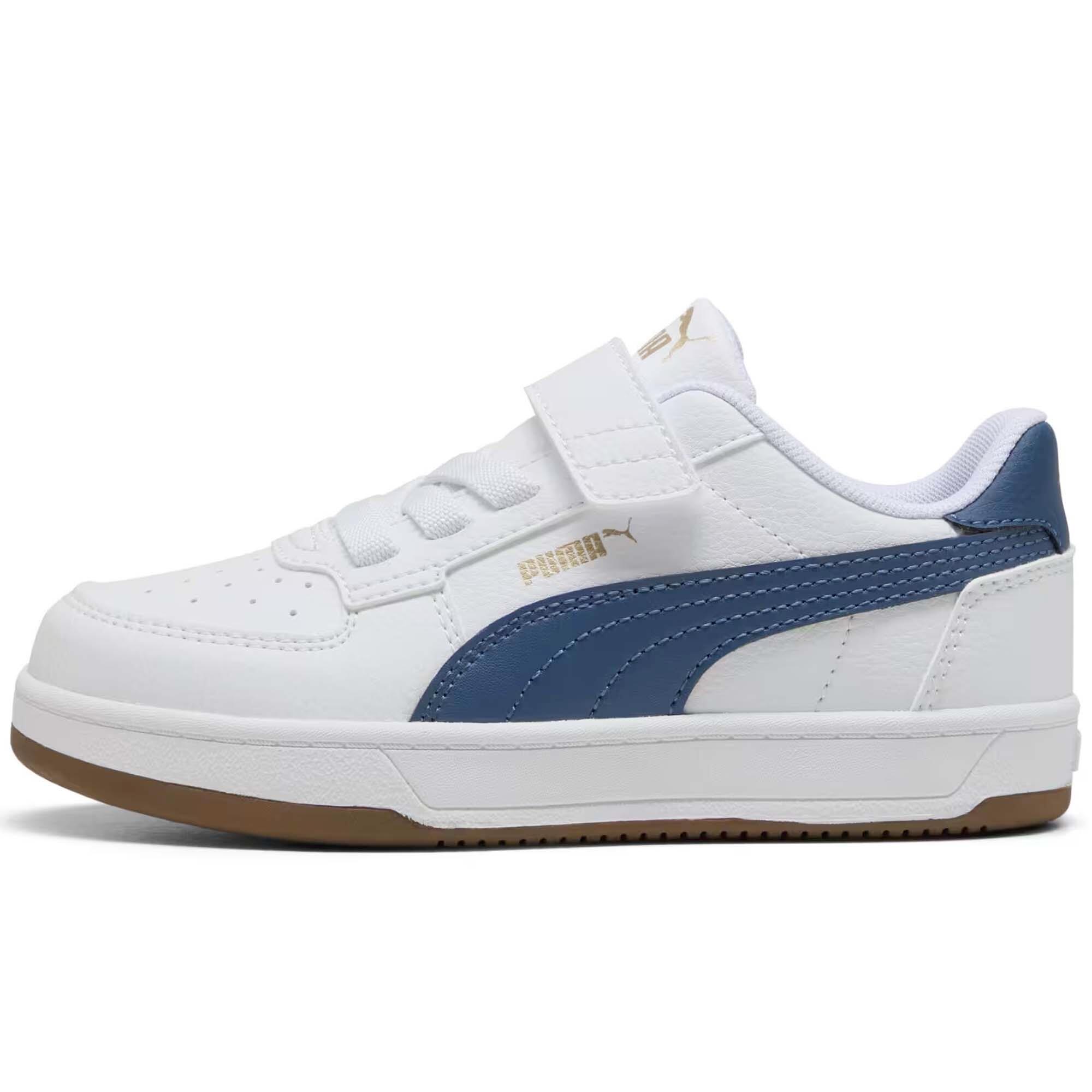 PUMA picture