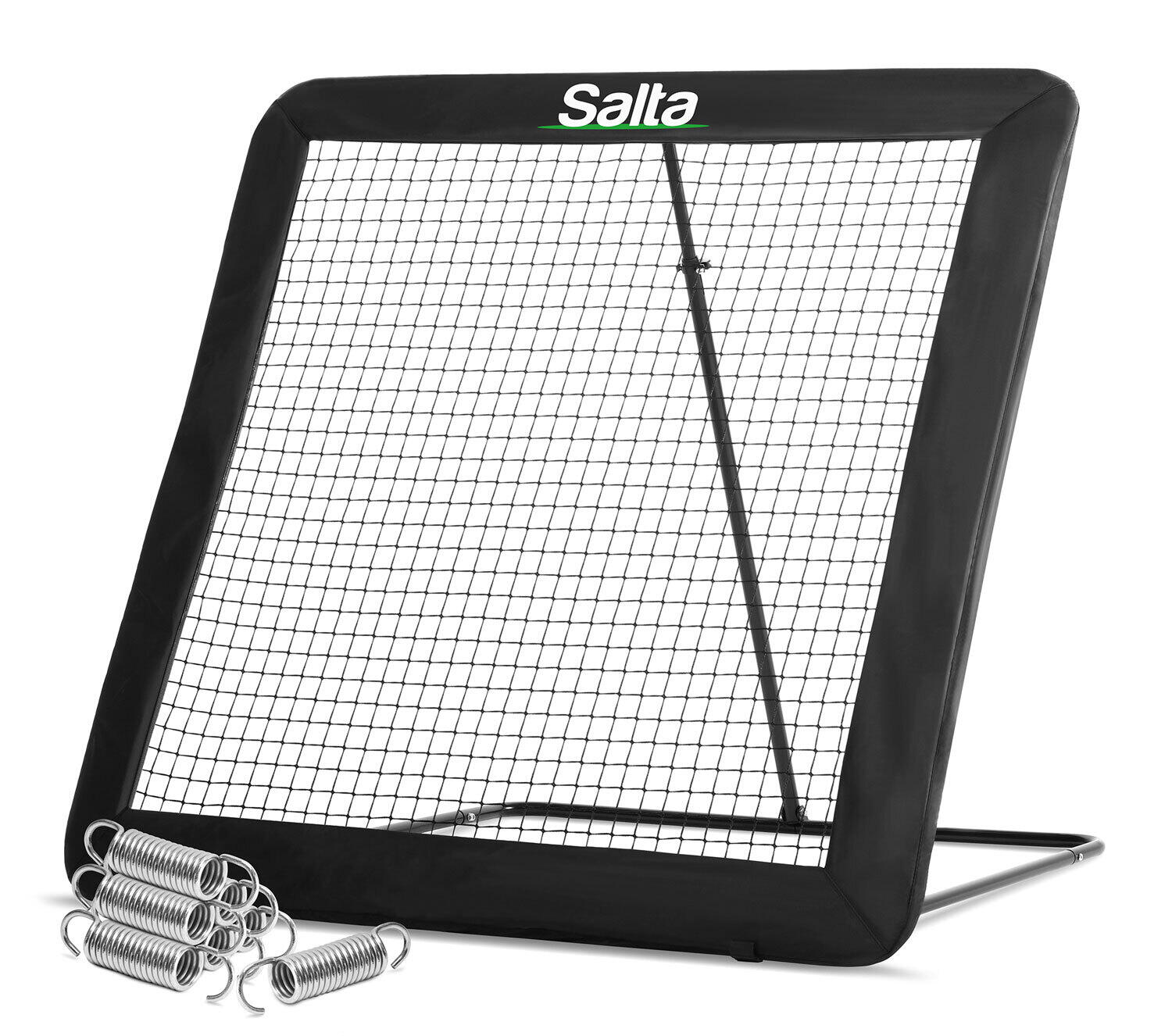 SALTA picture