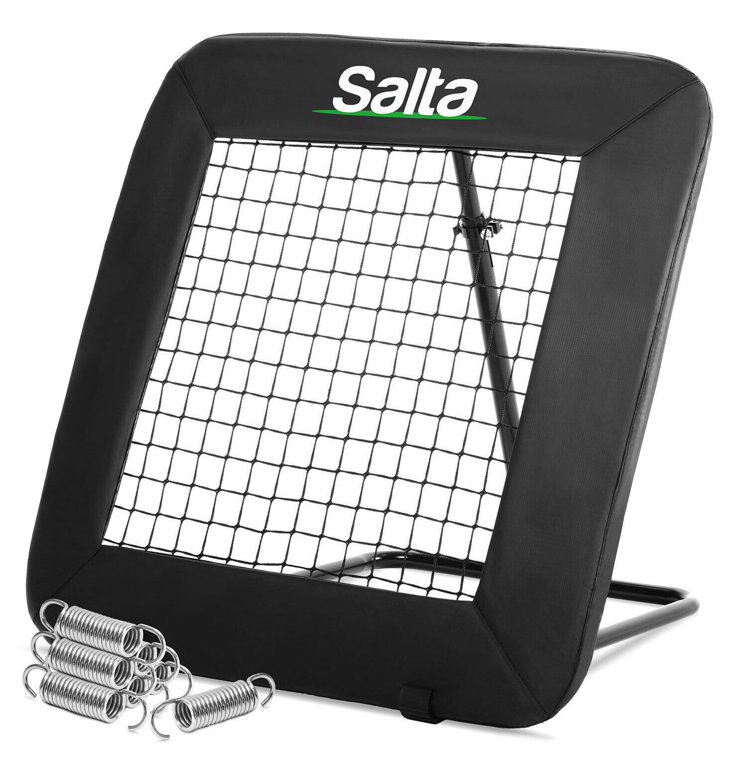 SALTA picture