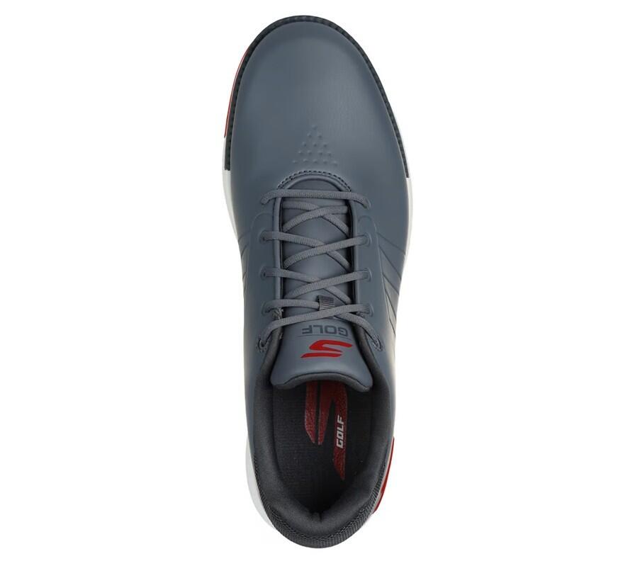 Scarpe da golf da uomo Skechers Go Golf Tempo GF grigie 3/5