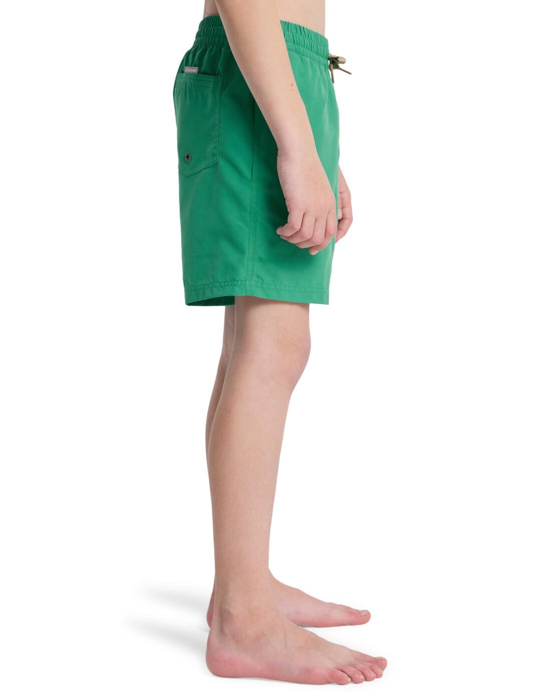 Swimsuit Quiksilver model 3543-GNZ for children 3/5