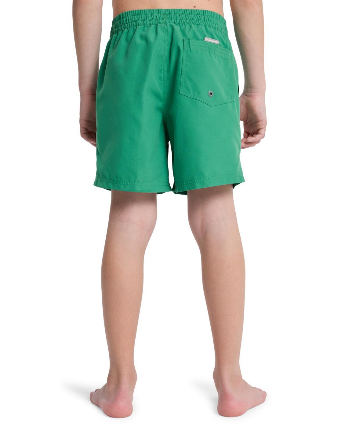 Swimsuit Quiksilver model 3543-GNZ for children 2/5