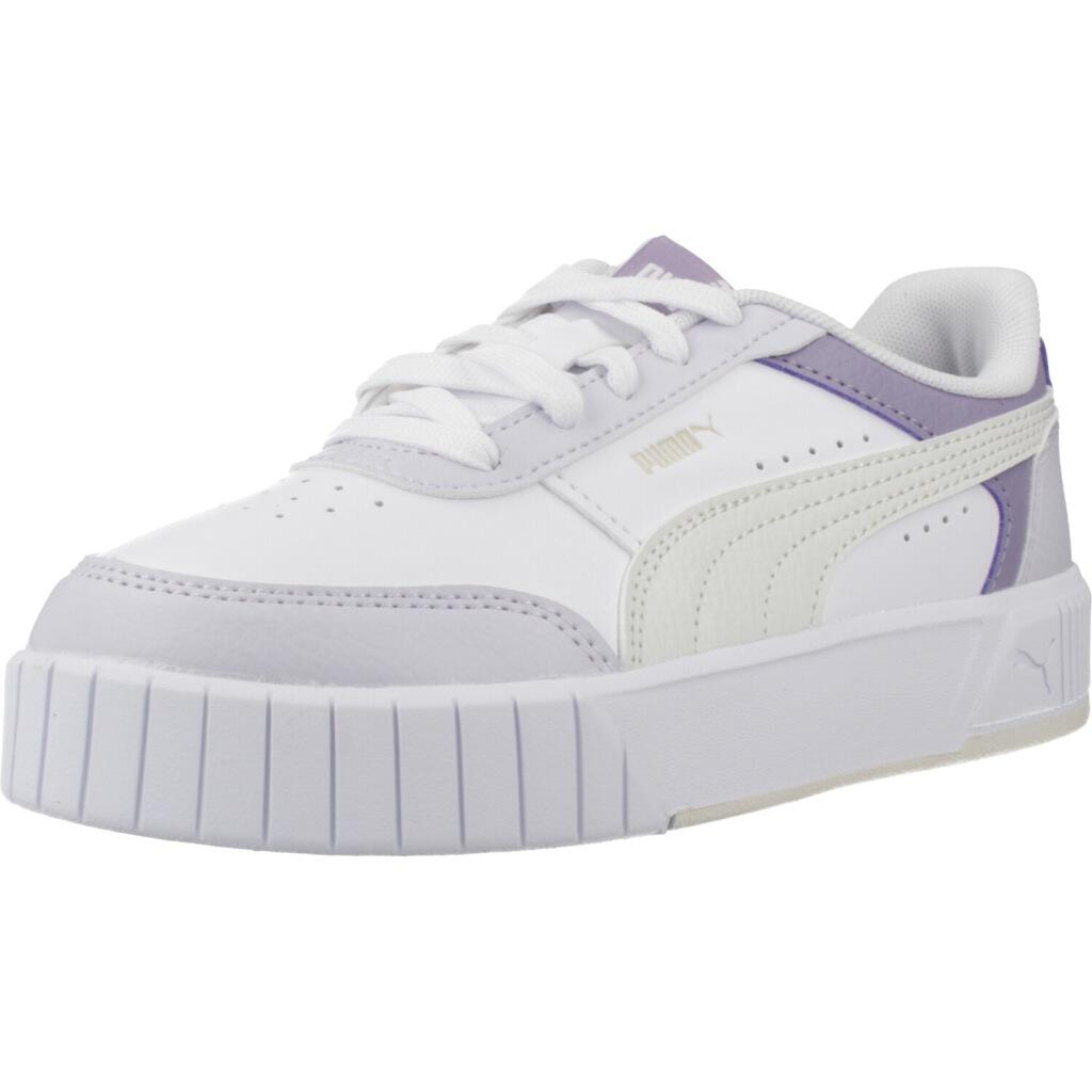 PUMA picture