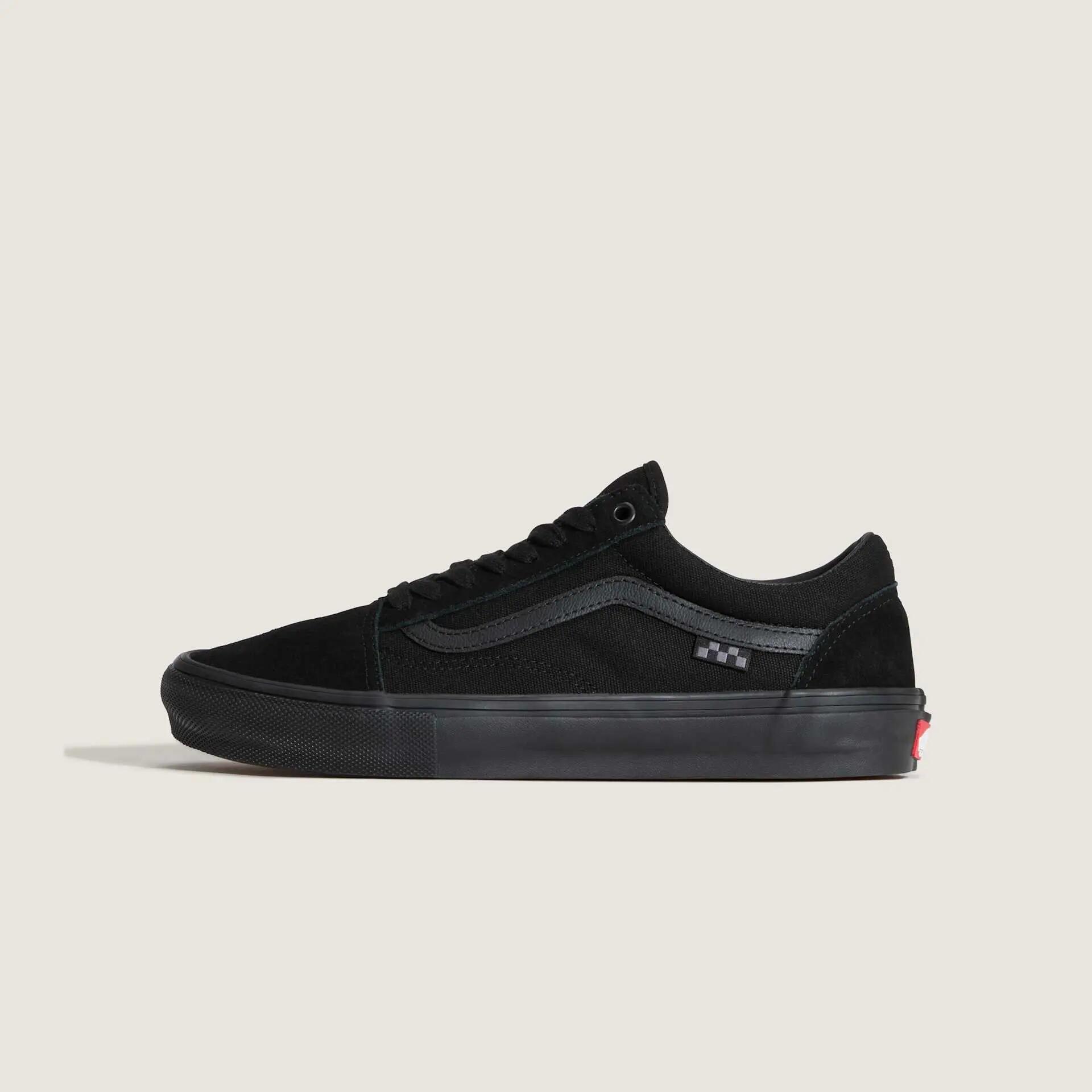 VANS picture