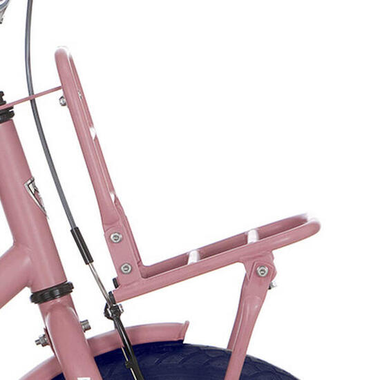 Portapacchi anteriore Alpina CG 16" Soft Pink Matt.