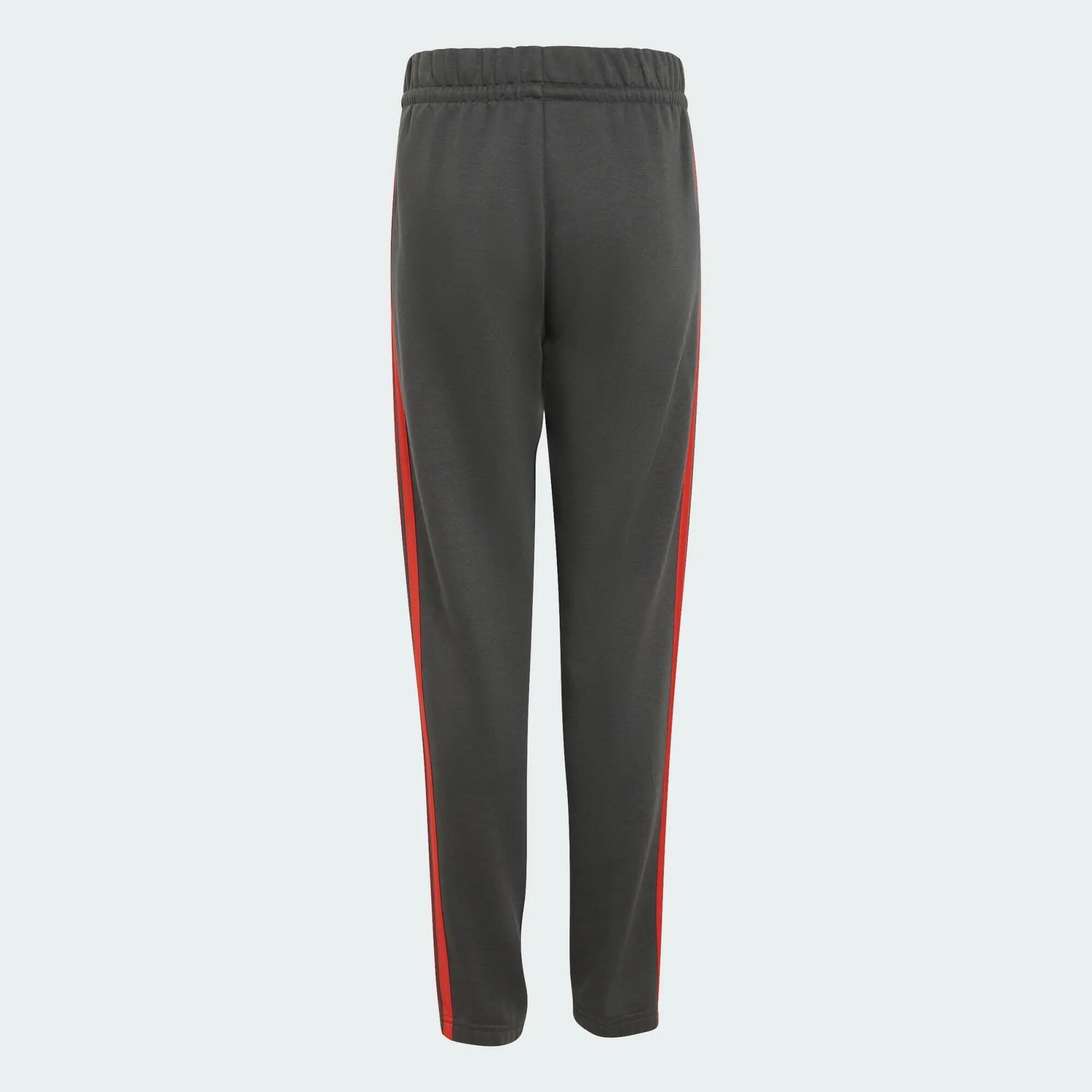 PANTALÓN AUDI REVOLUT F1 TEAM DNA 3/5