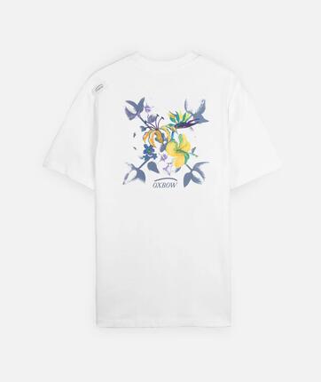 Tee-shirt manches courtes TEFLA