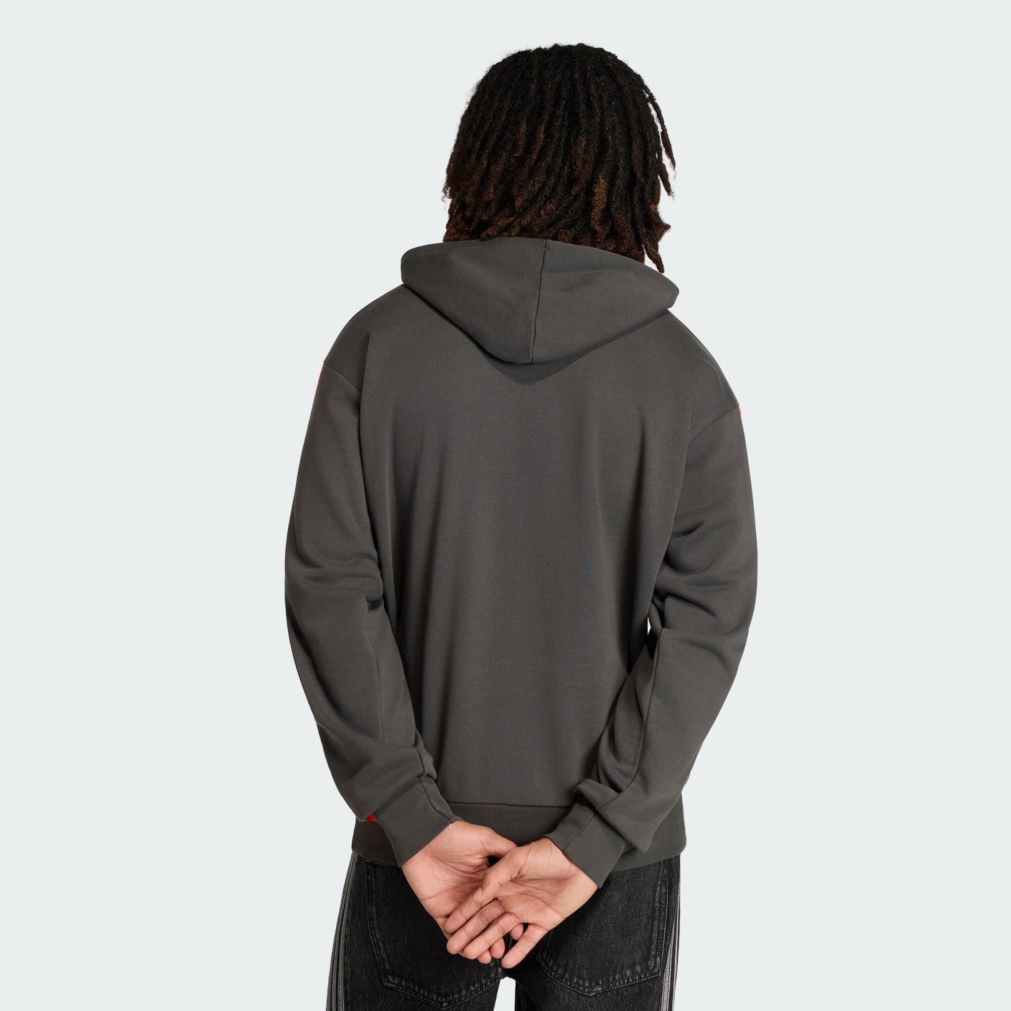 AUDI REVOLUT F1 TEAM DNA FRENCH TERRY HOODIE 3/6