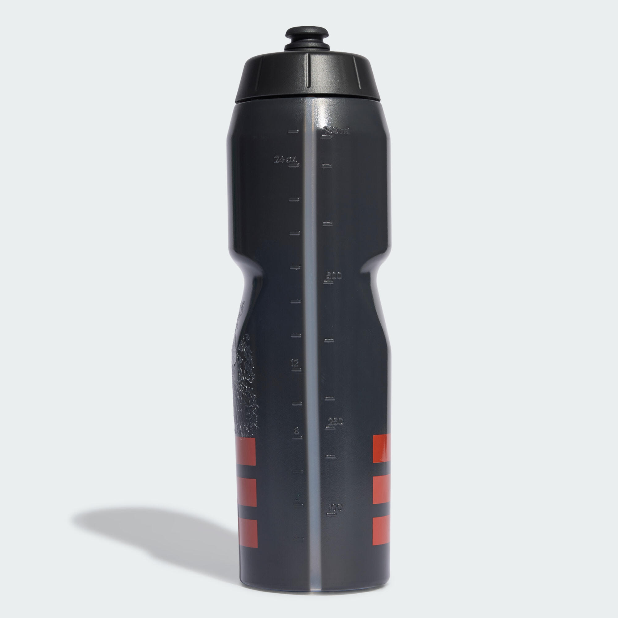 GOURDE AUDI REVOLUT F1 TEAM DNA 2/5