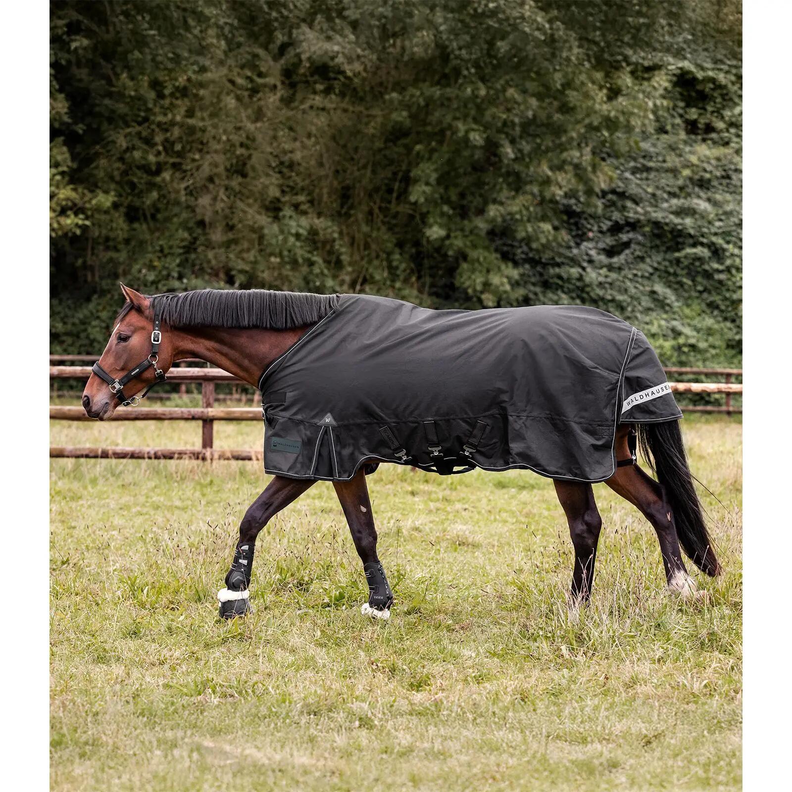 Coperta per cavalli da esterno Multi-Layer Waldhausen Scandic 250/100g 4/7