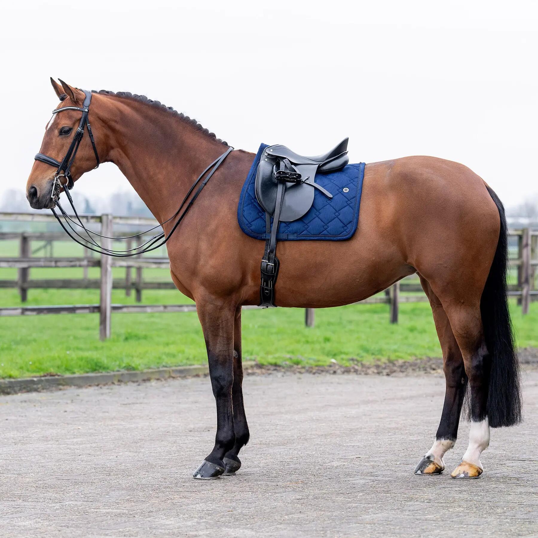 Sottosella dressage HV Polo Dana DR 2/3