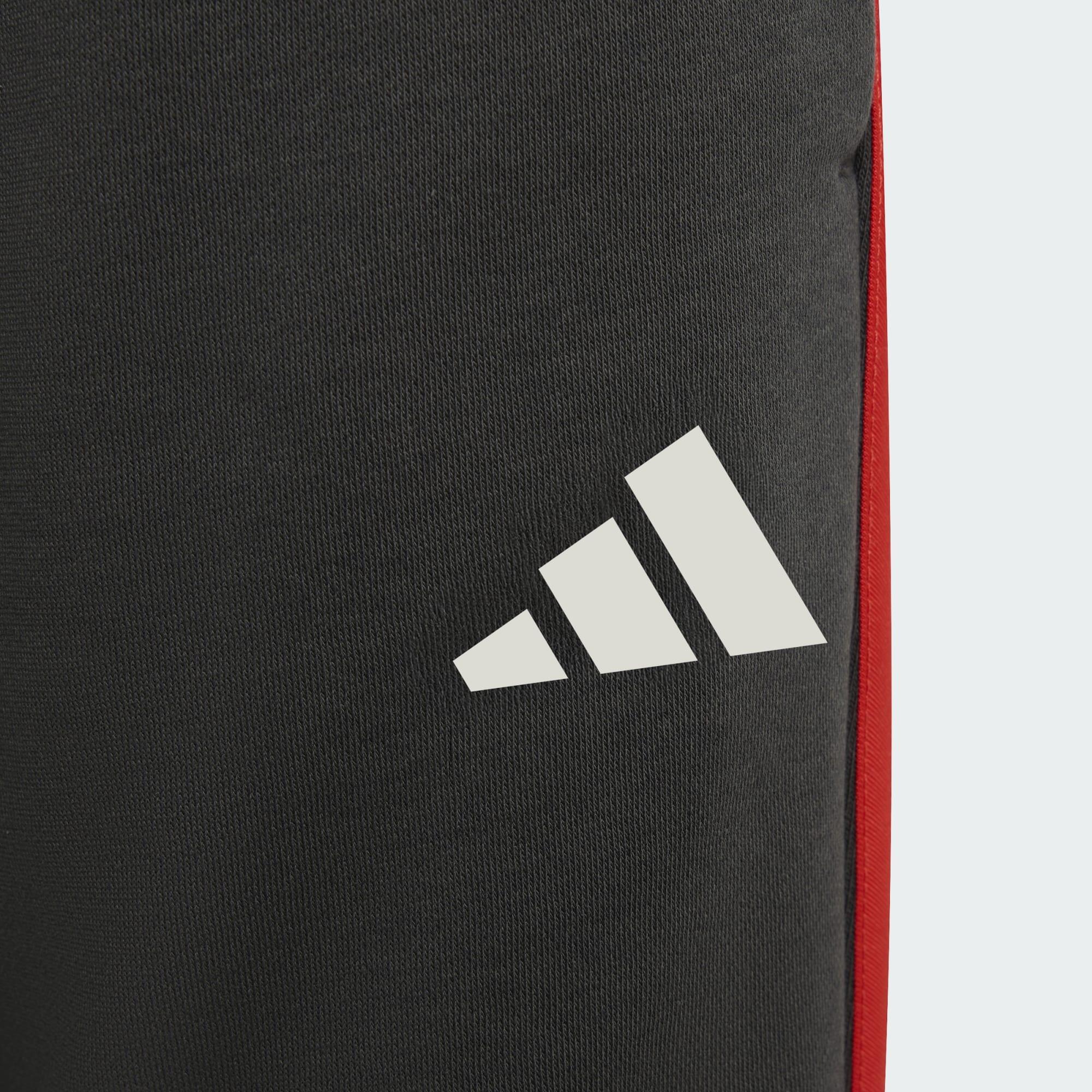 PANTALONI DNA TEAM AUDI REVOLUT F1 2/5