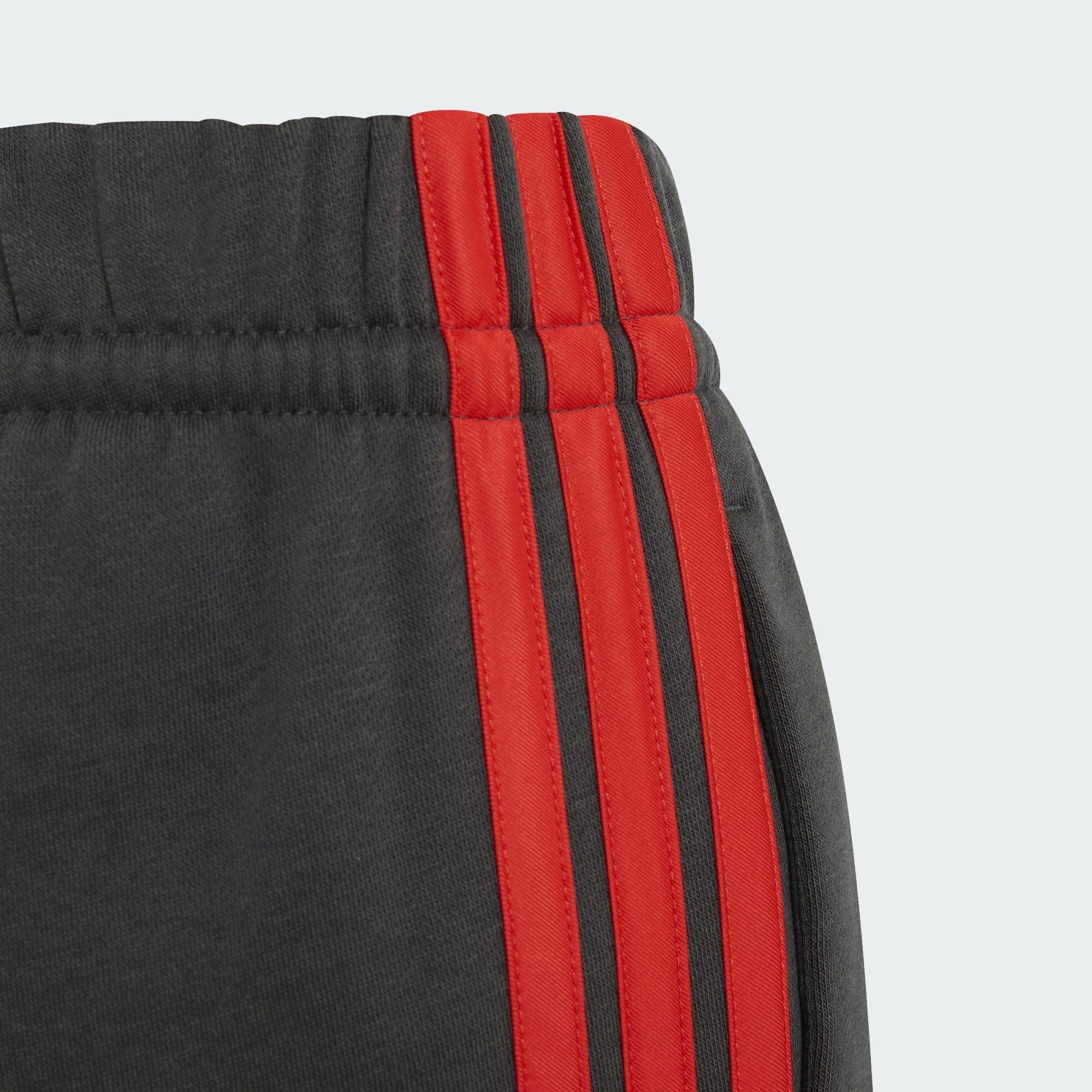 PANTALONI DNA TEAM AUDI REVOLUT F1 5/5