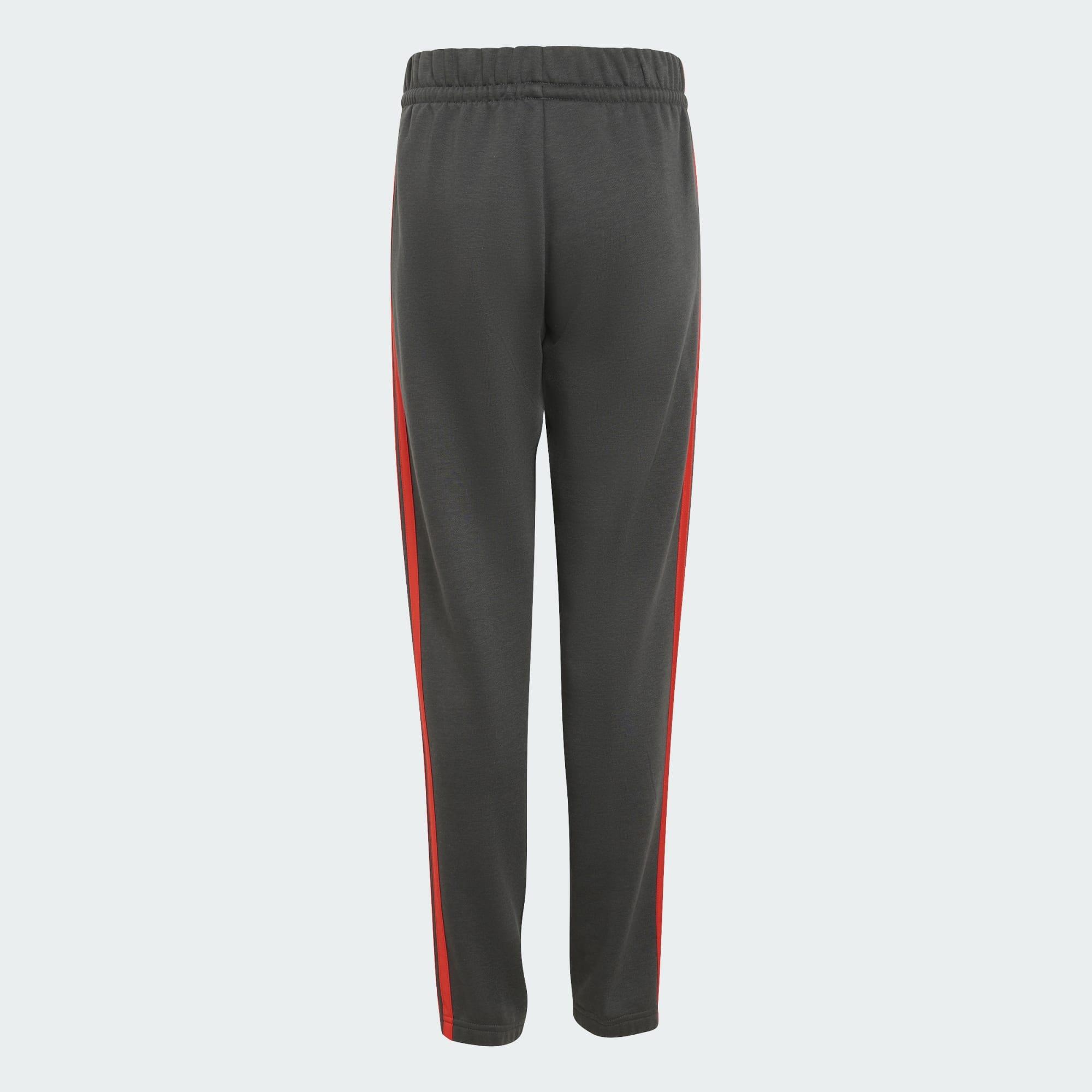 PANTALONI DNA TEAM AUDI REVOLUT F1 4/5