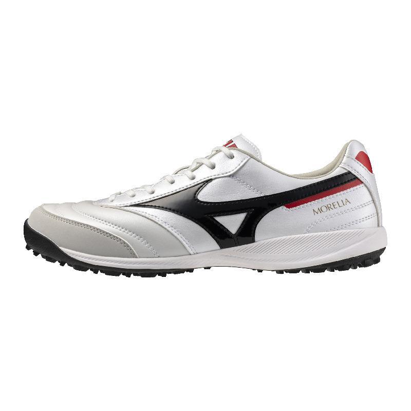 MIZUNO picture