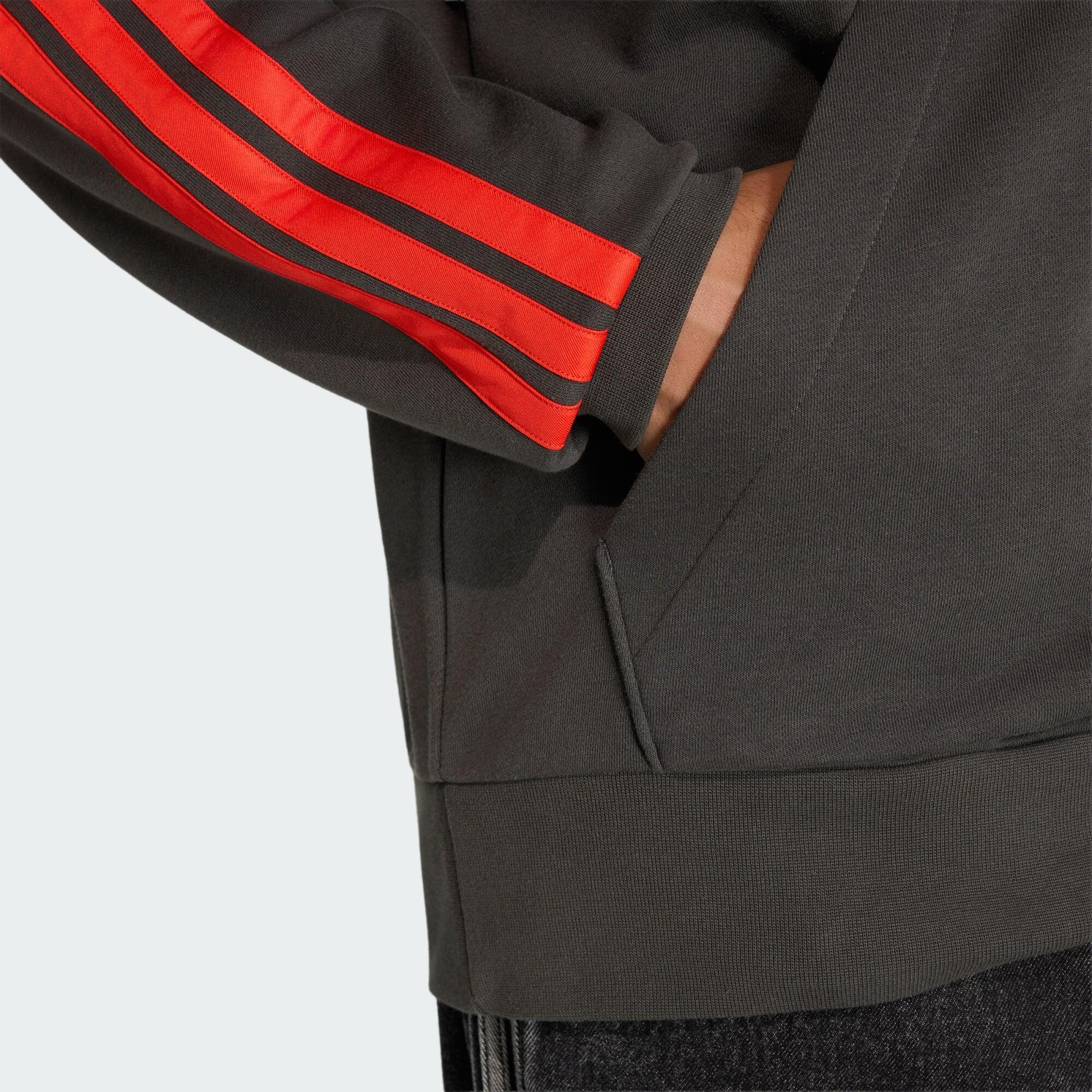AUDI REVOLUT F1 TEAM DNA FRENCH TERRY HOODIE 4/6