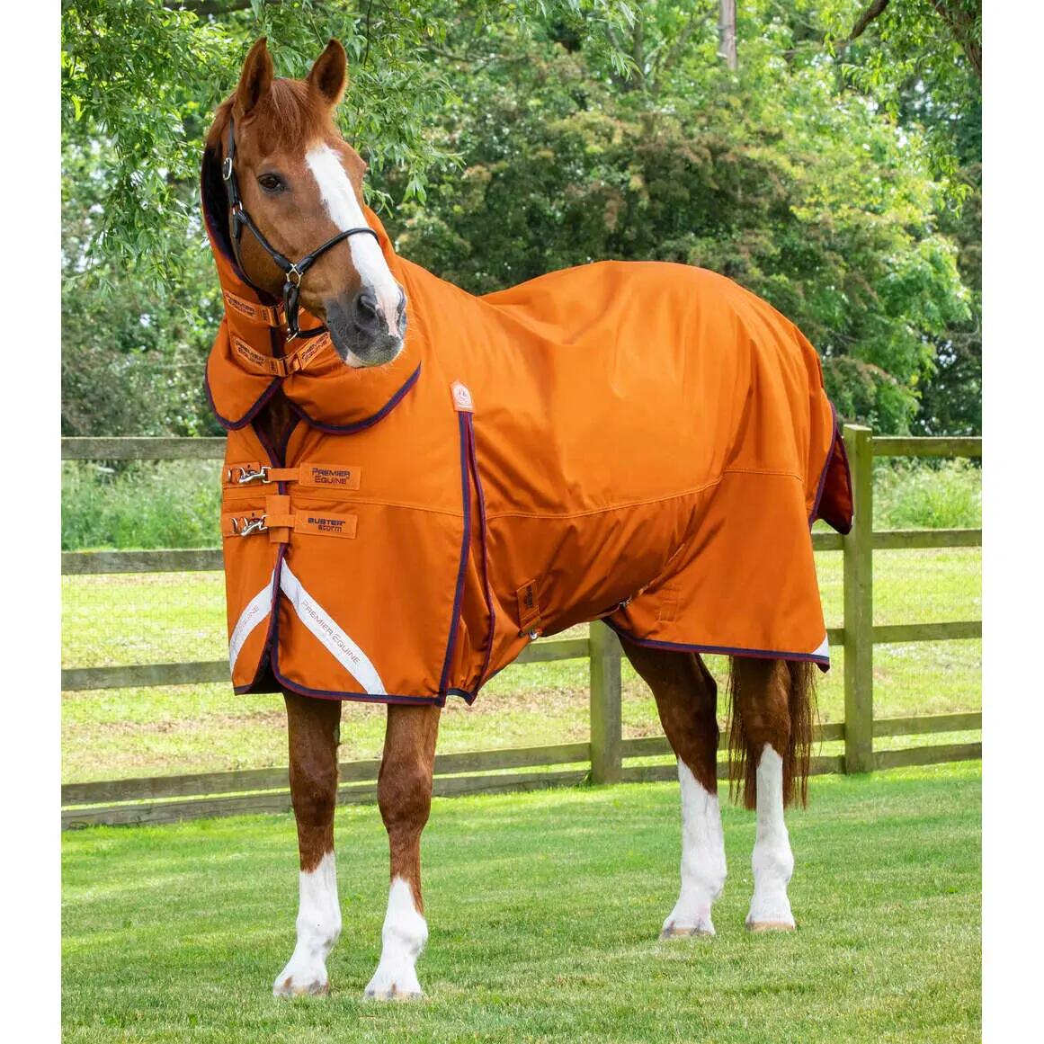PREMIER EQUINE picture