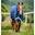 Căptușeală exterioară pentru cal Horseware Amigo 1200D Plus Tu