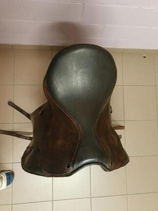 Entre Particuliers - Selle de dressage 16.5