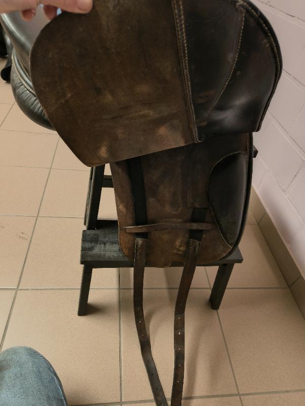 Entre Particuliers - Selle de dressage 16.5 3/4
