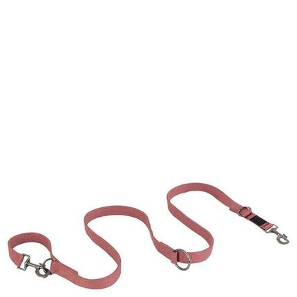 Laisse pour chien BR Equitation