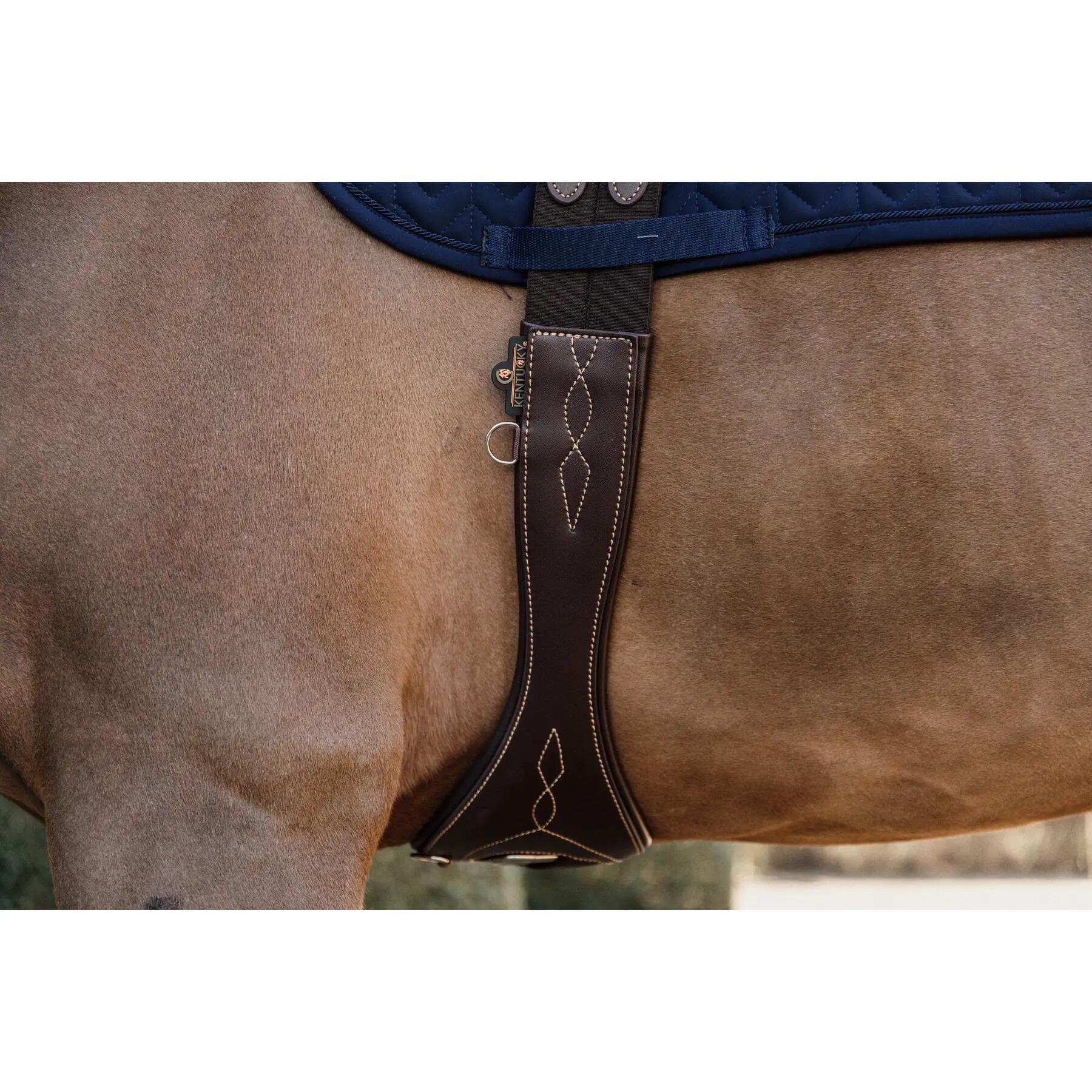 Cavalo anatómico Kentucky 3/7