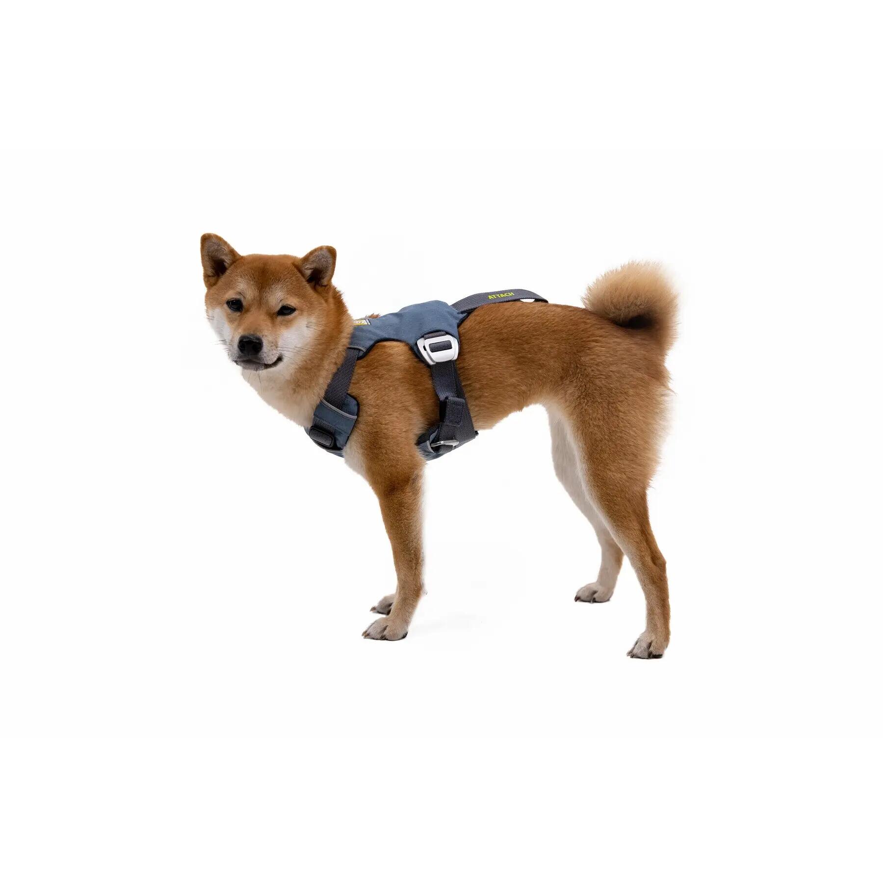 Hundegeschirr Ruffwear Load Up 3/5