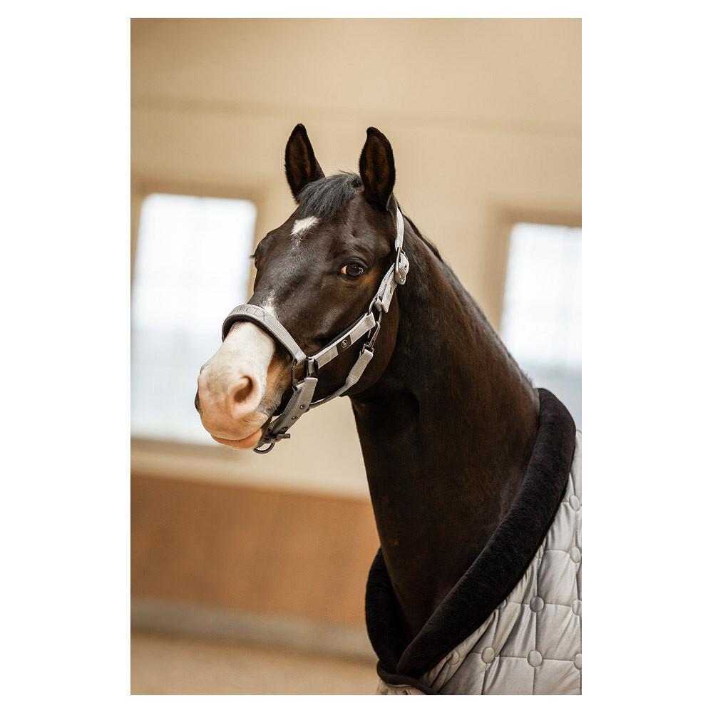 Halfter für Ponys BR Equitation CLX 2/6