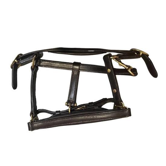 Licol pour cheval en cuir Premiere Equitation